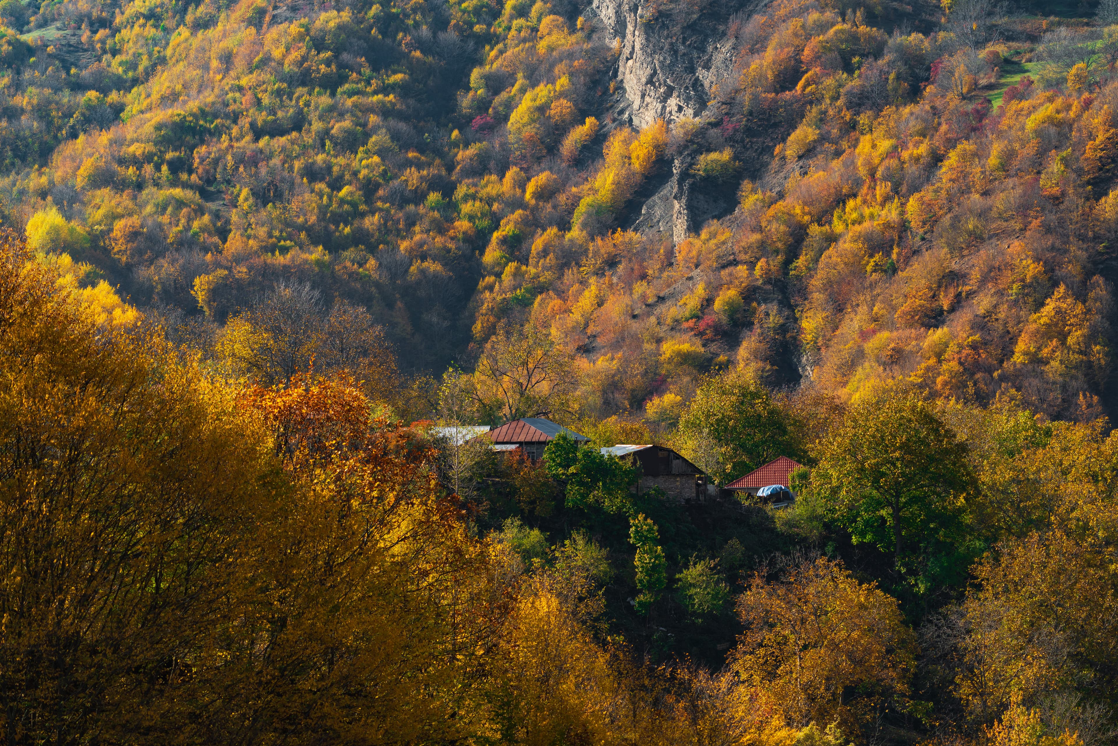 Blue Ridge mountain landscape